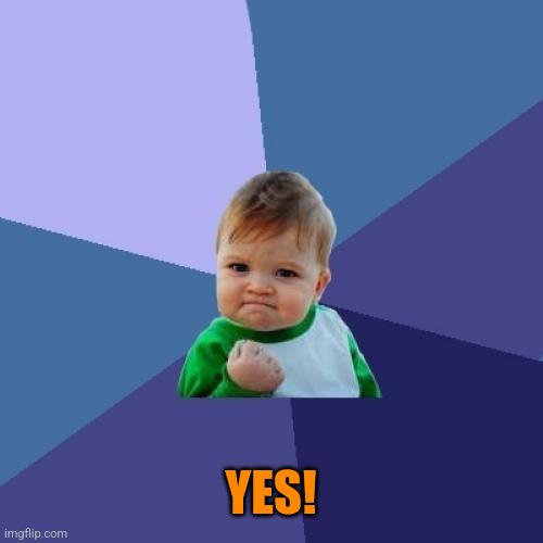 Success Kid Meme | YES! | image tagged in memes,success kid | made w/ Imgflip meme maker