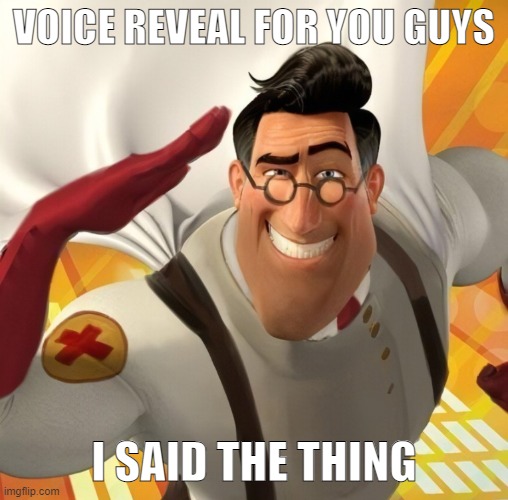 Metromedic | VOICE REVEAL FOR YOU GUYS; I SAID THE THING | image tagged in metromedic | made w/ Imgflip meme maker