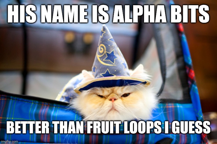 WIZARD CAT | HIS NAME IS ALPHA BITS; BETTER THAN FRUIT LOOPS I GUESS | image tagged in wizard cat | made w/ Imgflip meme maker