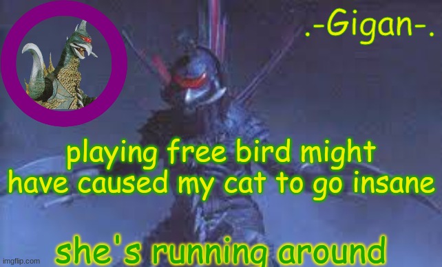 bhjk | playing free bird might have caused my cat to go insane; she's running around | made w/ Imgflip meme maker