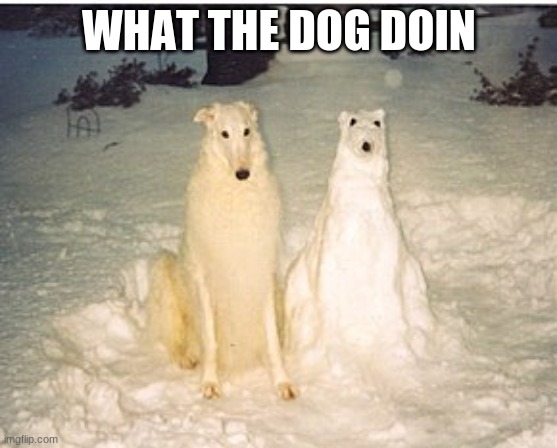 dog with snowman??? | WHAT THE DOG DOIN | image tagged in cursed dog with snowman | made w/ Imgflip meme maker
