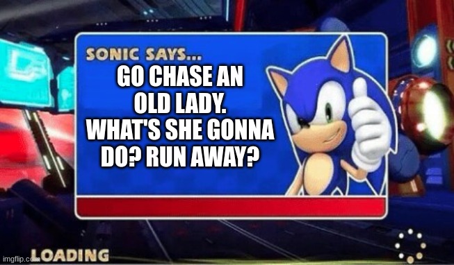 Sonic Says | GO CHASE AN OLD LADY. WHAT'S SHE GONNA DO? RUN AWAY? | image tagged in sonic says | made w/ Imgflip meme maker