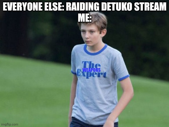 Insert your no u memes here | EVERYONE ELSE: RAIDING DETUKO STREAM
ME:; WEAPONS | image tagged in the expert | made w/ Imgflip meme maker