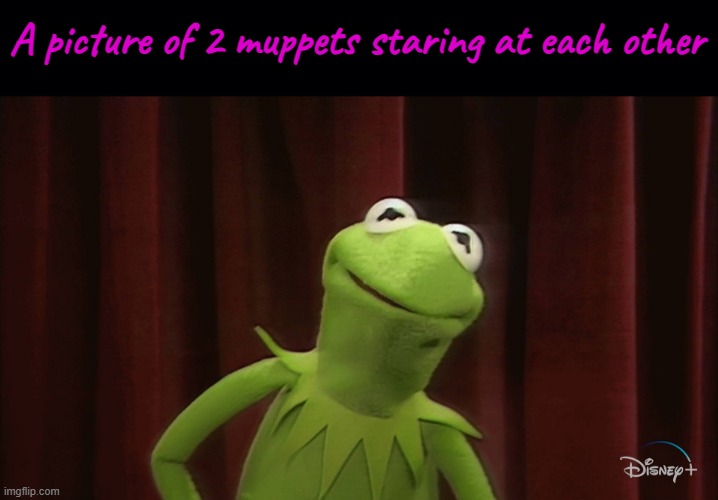 I kno whoo u voted 4 | A picture of 2 muppets staring at each other | image tagged in black background | made w/ Imgflip meme maker