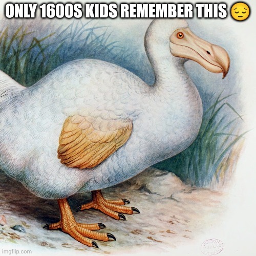 ONLY 1600S KIDS REMEMBER THIS 😔 | made w/ Imgflip meme maker