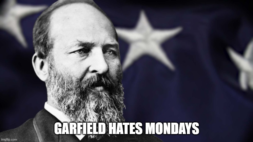 Garfield Hates Mondays | GARFIELD HATES MONDAYS | image tagged in president james garfield | made w/ Imgflip meme maker