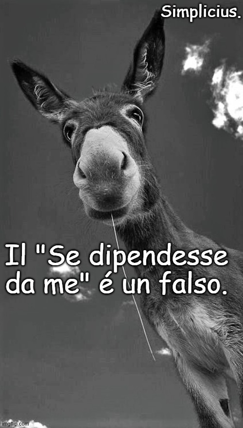Il "Se dipendesse
da me" é un falso. | made w/ Imgflip meme maker