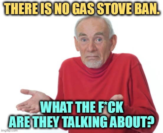 Republicans are off in Cloud Cuckoo Land again. | THERE IS NO GAS STOVE BAN. WHAT THE F*CK ARE THEY TALKING ABOUT? | image tagged in guess i'll die,fantasy,gas,stove ban,imagination,crazy | made w/ Imgflip meme maker