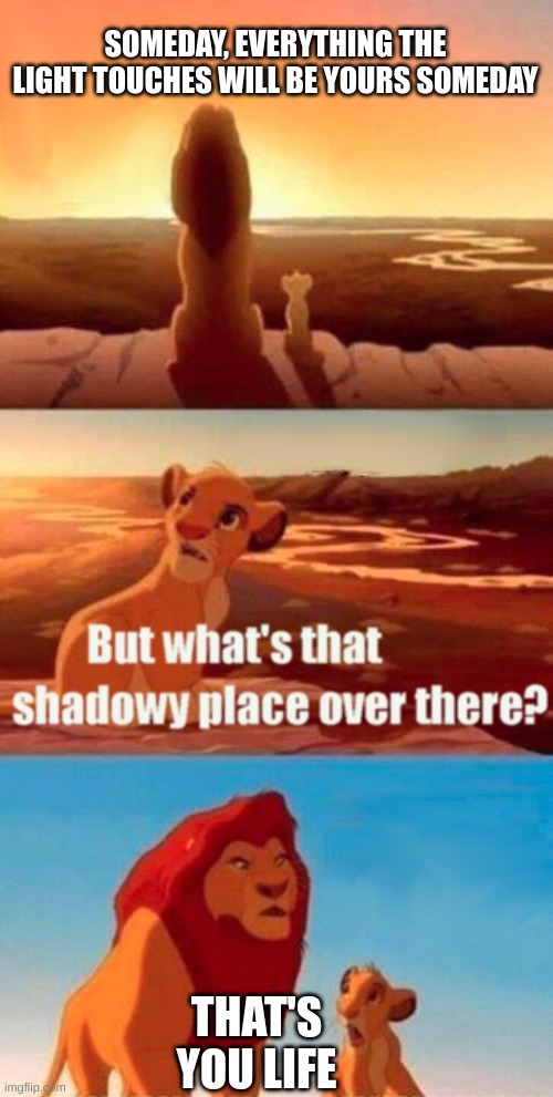 Simba Shadowy Place | SOMEDAY, EVERYTHING THE LIGHT TOUCHES WILL BE YOURS SOMEDAY; THAT'S YOU LIFE | image tagged in memes,simba shadowy place | made w/ Imgflip meme maker