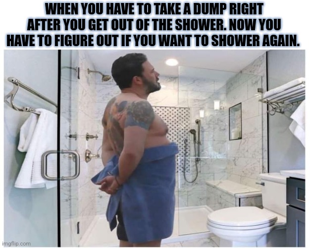 Well... | WHEN YOU HAVE TO TAKE A DUMP RIGHT AFTER YOU GET OUT OF THE SHOWER. NOW YOU HAVE TO FIGURE OUT IF YOU WANT TO SHOWER AGAIN. | image tagged in poop,shower thoughts,toilet,wash | made w/ Imgflip meme maker