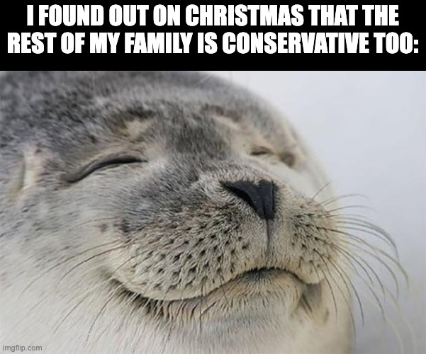 Yay! | I FOUND OUT ON CHRISTMAS THAT THE REST OF MY FAMILY IS CONSERVATIVE TOO: | image tagged in memes,satisfied seal | made w/ Imgflip meme maker