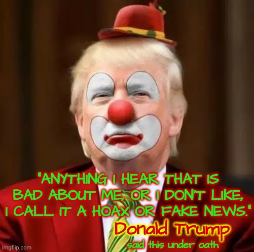 Center Ring | "ANYTHING I HEAR THAT IS BAD ABOUT ME, OR I DON'T LIKE, I CALL IT A HOAX OR FAKE NEWS."; Donald Trump; said this under oath | image tagged in donald trump clown,memes,donald trump the clown,clown car republicans,lock him up,loser | made w/ Imgflip meme maker