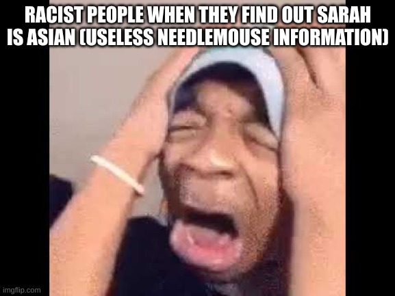it is useless information to me | RACIST PEOPLE WHEN THEY FIND OUT SARAH IS ASIAN (USELESS NEEDLEMOUSE INFORMATION) | image tagged in flightreacts crying,memes,needlemouse | made w/ Imgflip meme maker