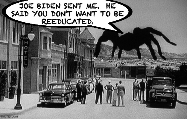 JOE BIDEN SENT ME.  HE
SAID YOU DON'T WANT TO BE
REEDUCATED. | made w/ Imgflip meme maker