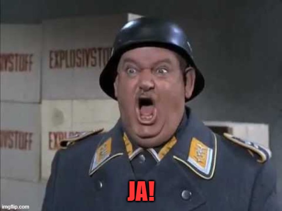 Sgt. Schultz shouting | JA! | image tagged in sgt schultz shouting | made w/ Imgflip meme maker