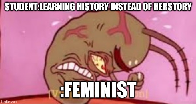 Original meme goes to HiMyNameIsPerson | STUDENT:LEARNING HISTORY INSTEAD OF HERSTORY; :FEMINIST | image tagged in visible frustration | made w/ Imgflip meme maker