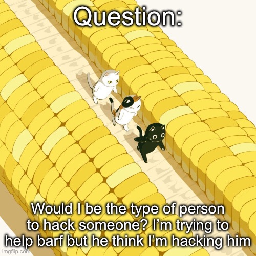 Like I barely know any coding fr ☠️ | Question:; Would I be the type of person to hack someone? I’m trying to help barf but he think I’m hacking him | image tagged in avogado6 | made w/ Imgflip meme maker