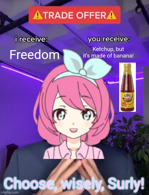 Here's the deal, Surly, you free me from your gnome army, and you can have all the banana ketchup you can dream of! | Freedom; Ketchup, but it's made of banana! Choose, wisely, Surly! | made w/ Imgflip meme maker