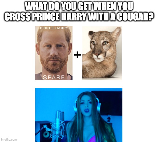 WHAT DO YOU GET WHEN YOU CROSS PRINCE HARRY WITH A COUGAR? | image tagged in prince harry,shakira | made w/ Imgflip meme maker