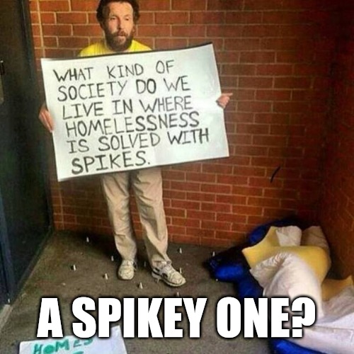 A SPIKEY ONE? | made w/ Imgflip meme maker