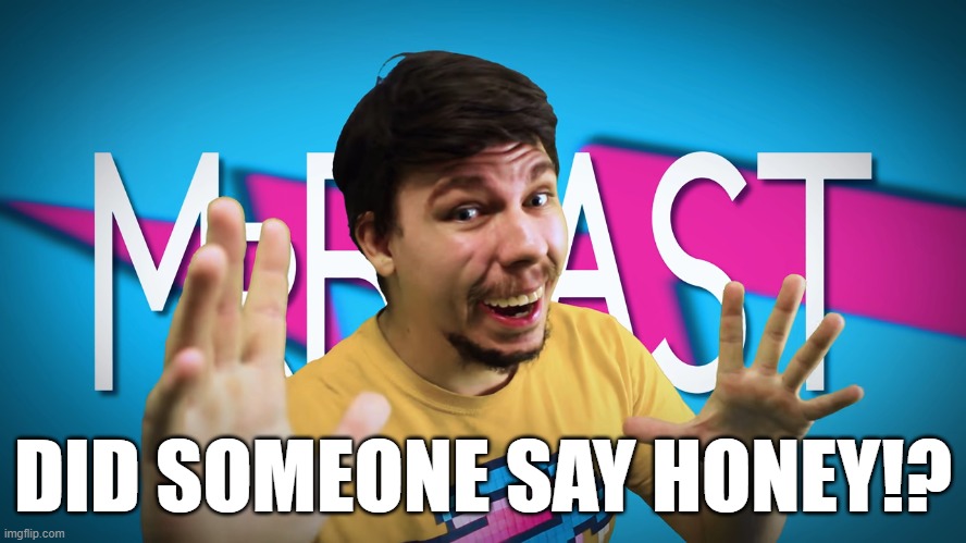 Fake MrBeast | DID SOMEONE SAY HONEY!? | image tagged in fake mrbeast | made w/ Imgflip meme maker