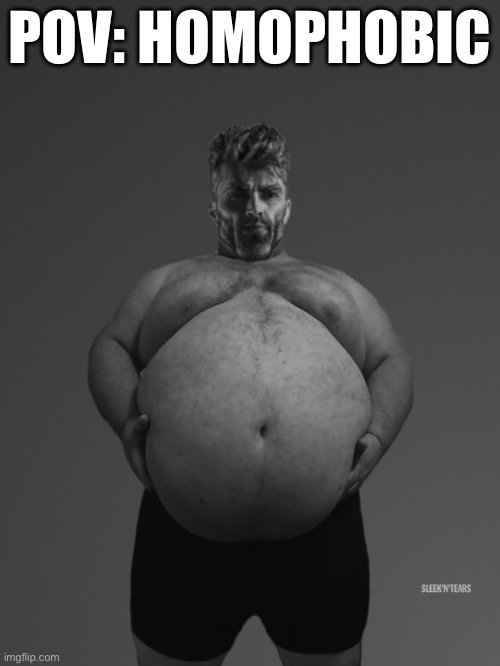 Fat Giga Chad | POV: HOMOPHOBIC | image tagged in fat giga chad | made w/ Imgflip meme maker