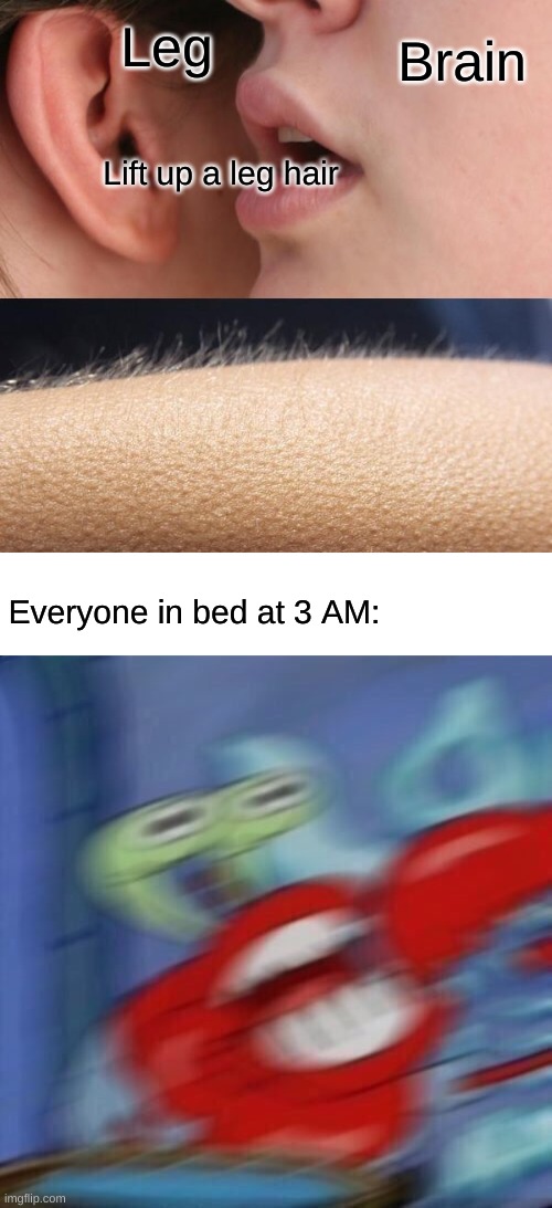 relateable??? | Leg; Brain; Lift up a leg hair; Everyone in bed at 3 AM: | image tagged in whisper and goosebumps,blank white template,mr krabs blur,relateable | made w/ Imgflip meme maker