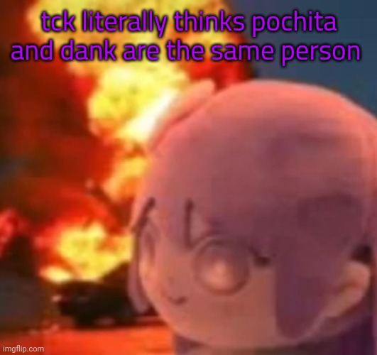 msmg | tck literally thinks pochita and dank are the same person | image tagged in msmg | made w/ Imgflip meme maker