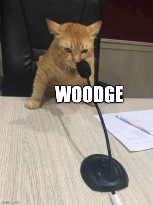 WOODGE | made w/ Imgflip meme maker