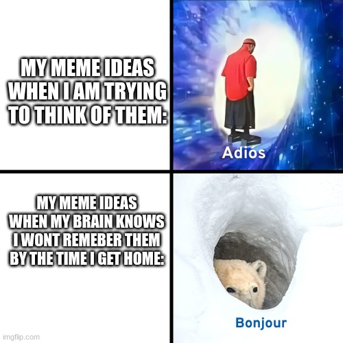 Adios Bonjour | MY MEME IDEAS WHEN I AM TRYING TO THINK OF THEM:; MY MEME IDEAS WHEN MY BRAIN KNOWS I WONT REMEBER THEM BY THE TIME I GET HOME: | image tagged in adios bonjour | made w/ Imgflip meme maker