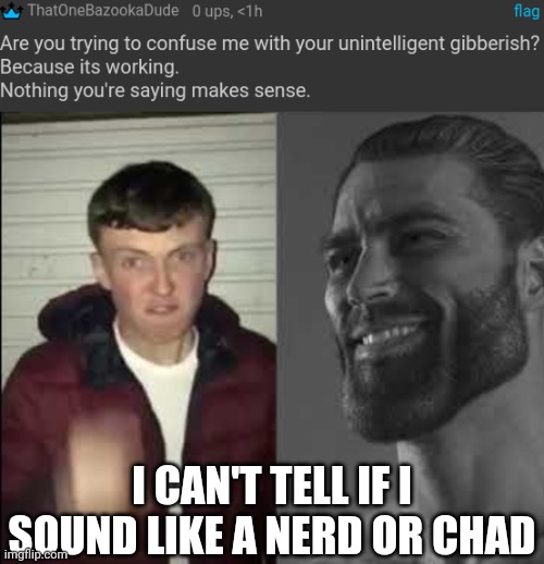 I CAN'T TELL IF I SOUND LIKE A NERD OR CHAD | image tagged in giga chad template | made w/ Imgflip meme maker