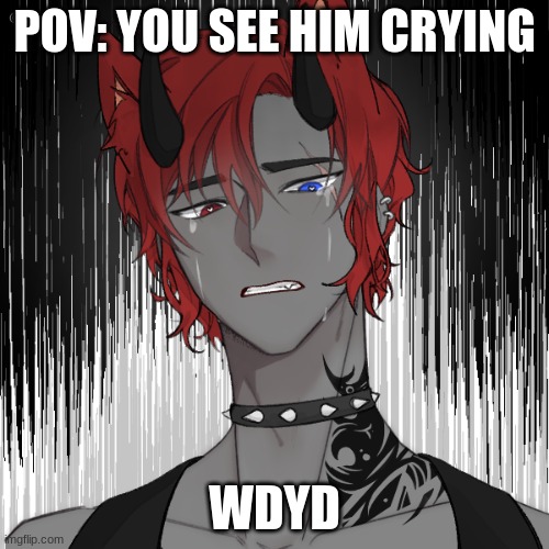 POV: YOU SEE HIM CRYING; WDYD | made w/ Imgflip meme maker