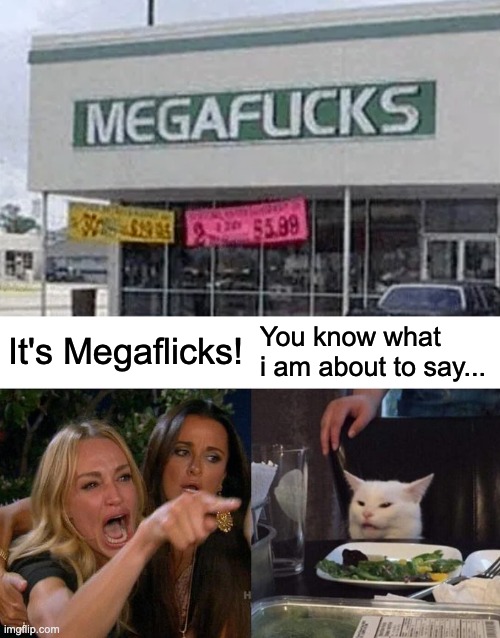 Don't say it Smudge! | It's Megaflicks! You know what i am about to say... | image tagged in memes,woman yelling at cat,design fails,you had one job,confused cat,funny | made w/ Imgflip meme maker