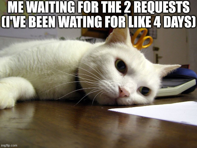 Annoyed tired bored cat  | ME WAITING FOR THE 2 REQUESTS (I'VE BEEN WATING FOR LIKE 4 DAYS) | image tagged in annoyed tired bored cat | made w/ Imgflip meme maker