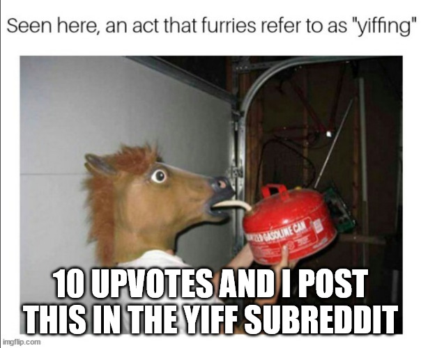 10 UPVOTES AND I POST THIS IN THE YIFF SUBREDDIT | made w/ Imgflip meme maker