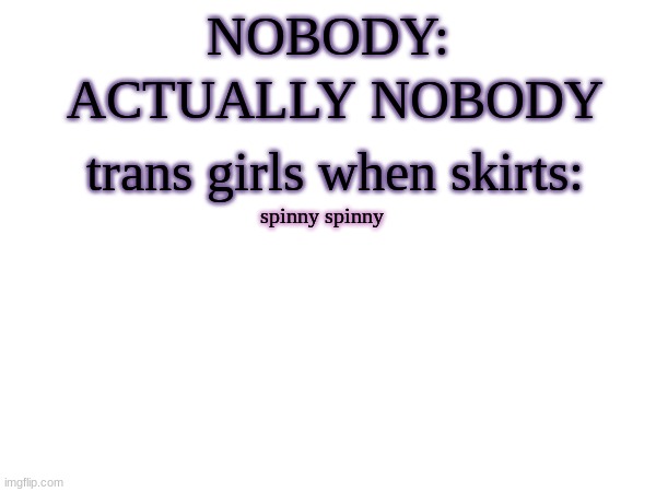 ACTUALLY NOBODY; NOBODY:; trans girls when skirts:; spinny spinny | made w/ Imgflip meme maker