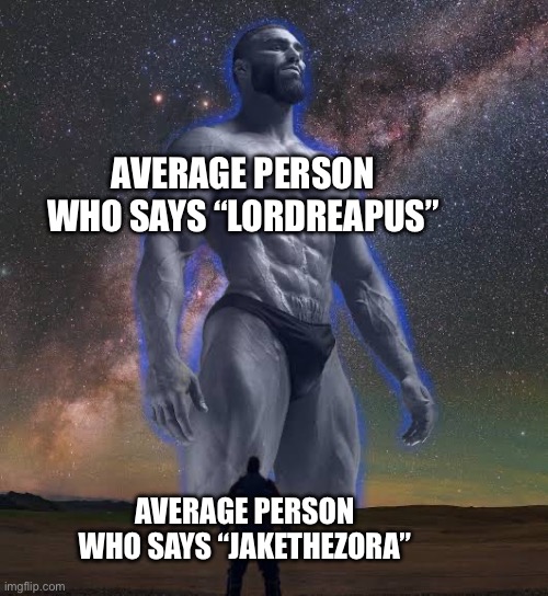 LordReaperus* | AVERAGE PERSON WHO SAYS “LORDREAPUS”; AVERAGE PERSON WHO SAYS “JAKETHEZORA” | image tagged in big gigachad vs small guy | made w/ Imgflip meme maker