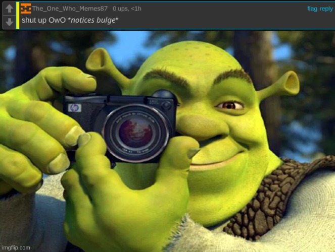 Help I think a furry is trying to make an erp on MY meme | image tagged in shrek caught in 4k,caught in 4k,the furry fandom,sucks | made w/ Imgflip meme maker