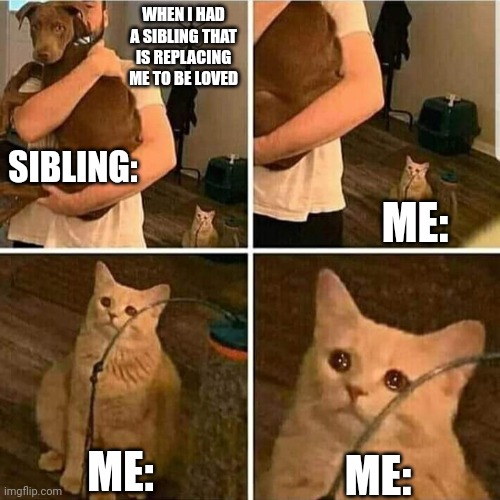 When my sibling is born | WHEN I HAD A SIBLING THAT IS REPLACING ME TO BE LOVED; SIBLING:; ME:; ME:; ME: | image tagged in sad cat holding dog | made w/ Imgflip meme maker