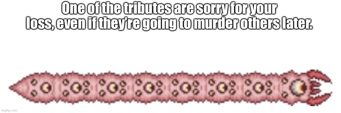 One of the tributes are sorry for your loss, even if they’re going to murder others later. | made w/ Imgflip meme maker