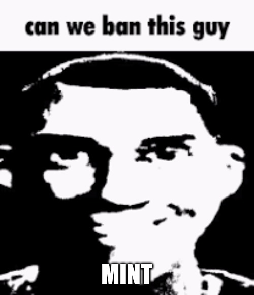 Can we ban this guy | MINT | image tagged in can we ban this guy | made w/ Imgflip meme maker