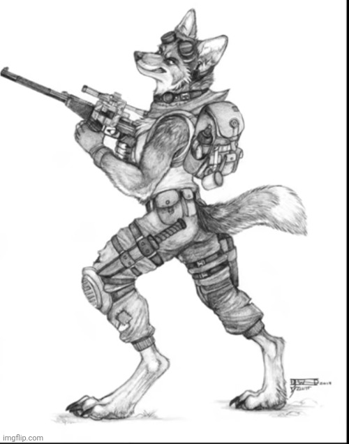 Furry soldier | made w/ Imgflip meme maker