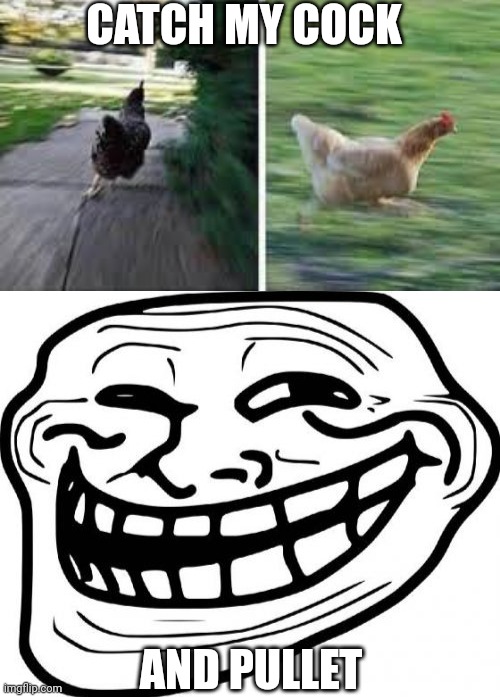 CATCH MY COCK AND PULLET | image tagged in running chicken,memes,troll face | made w/ Imgflip meme maker