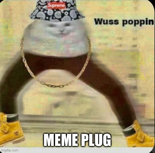 https://imgflip.com/gif/77izea | MEME PLUG | image tagged in the kitty drip | made w/ Imgflip meme maker