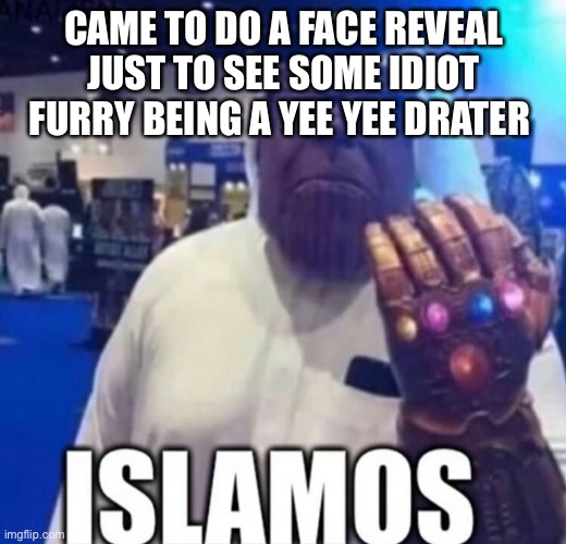 Islamos | CAME TO DO A FACE REVEAL JUST TO SEE SOME IDIOT FURRY BEING A YEE YEE DRATER | image tagged in islamos | made w/ Imgflip meme maker