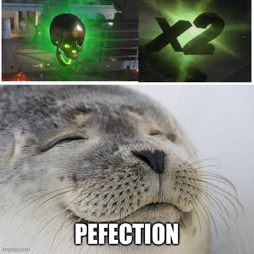 COd players get it. | PEFECTION | image tagged in memes,satisfied seal | made w/ Imgflip meme maker