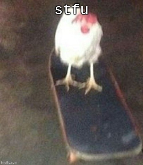 if this offends you then it was meant for you | stfu | image tagged in dog on skateboard | made w/ Imgflip meme maker