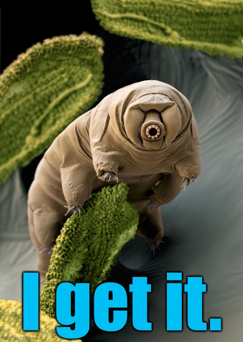 I'm a Tardigrade. I can survive 30 years without food & water. | I get it. | image tagged in i'm a tardigrade i can survive 30 years without food water | made w/ Imgflip meme maker