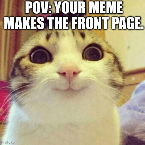 Smiling Cat | POV: YOUR MEME MAKES THE FRONT PAGE. | image tagged in memes,smiling cat | made w/ Imgflip meme maker