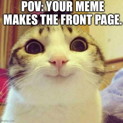 Smiling Cat Meme Imgflip